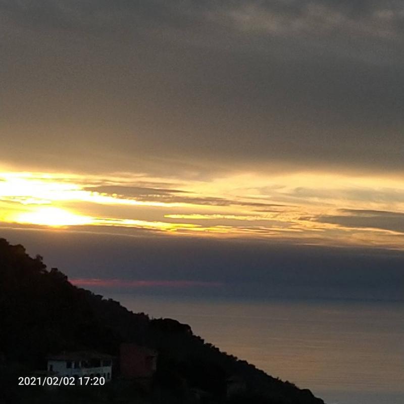 Fotosegnalazione di Livorno