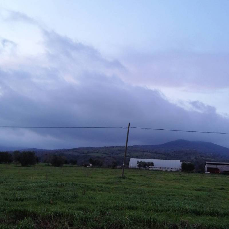 Fotosegnalazione di Campagnatico