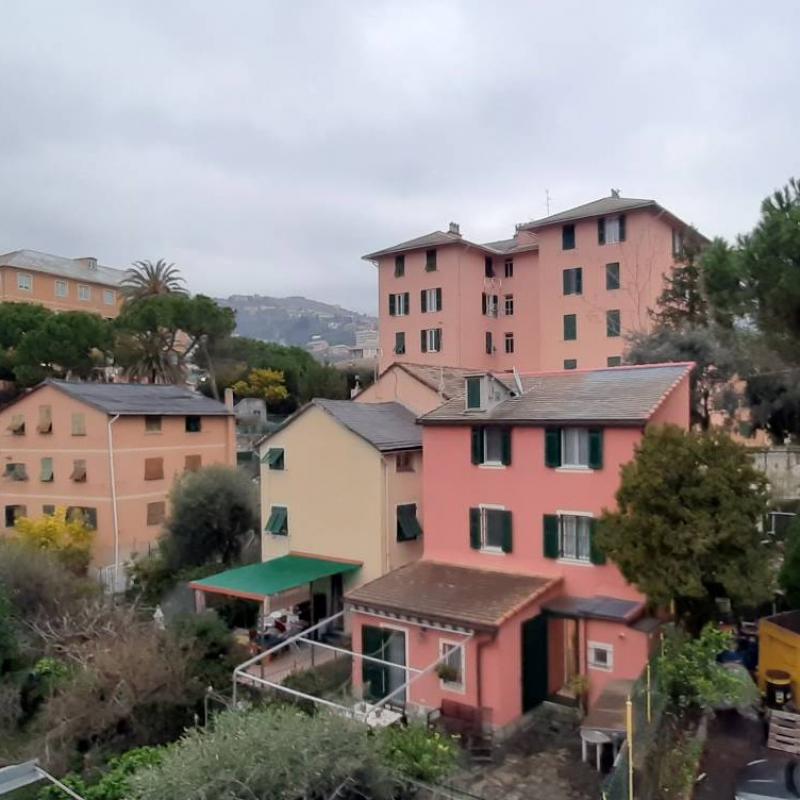 Fotosegnalazione di Genova sturla