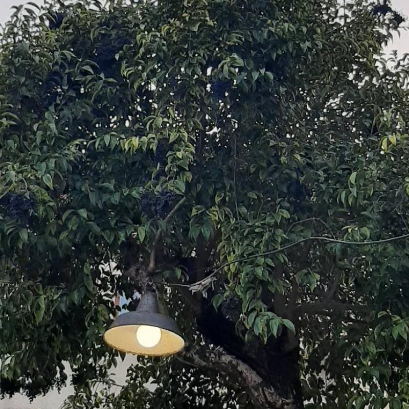 Fotosegnalazione di Roccagorga