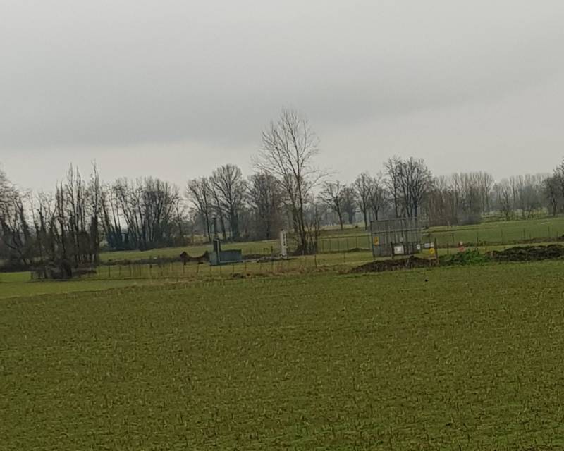 Il grigiore del cielo