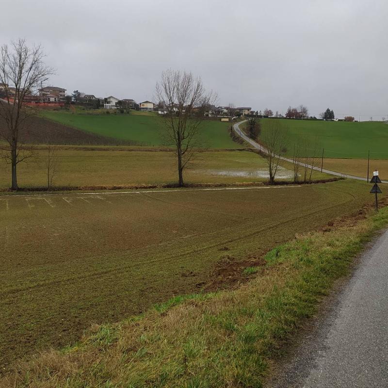 Fotosegnalazione di Terruggia