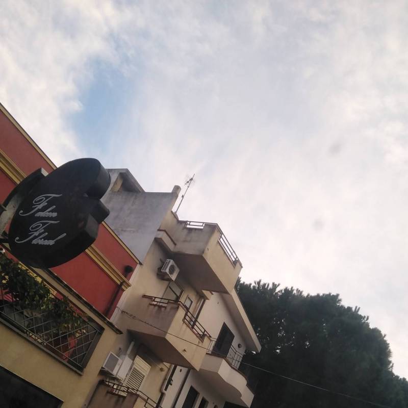 Fotosegnalazione di Falcone