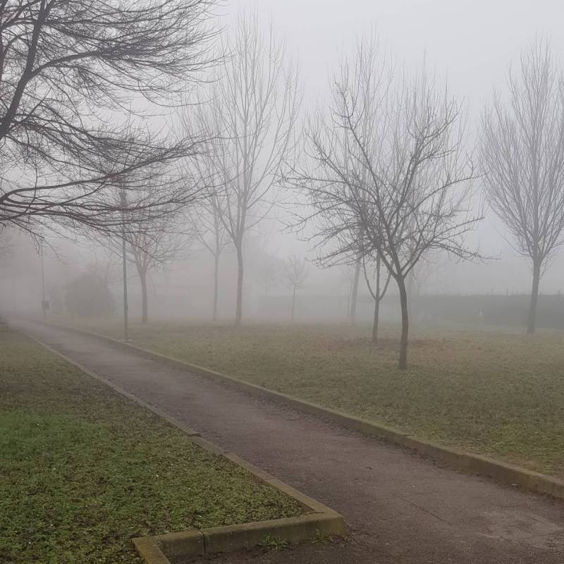 Fotosegnalazione di Trevenzuolo