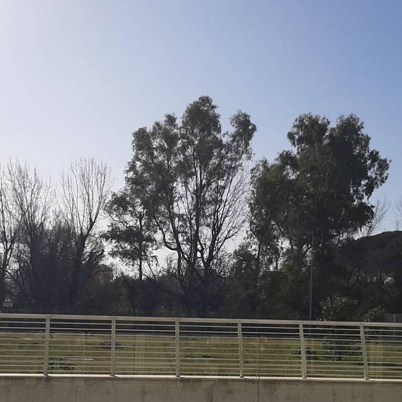 Fotosegnalazione di Roma nordest
