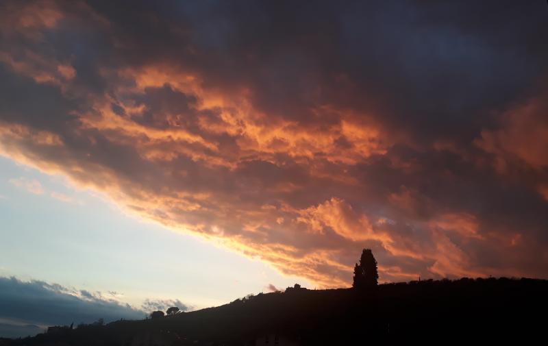 Sembra finto...