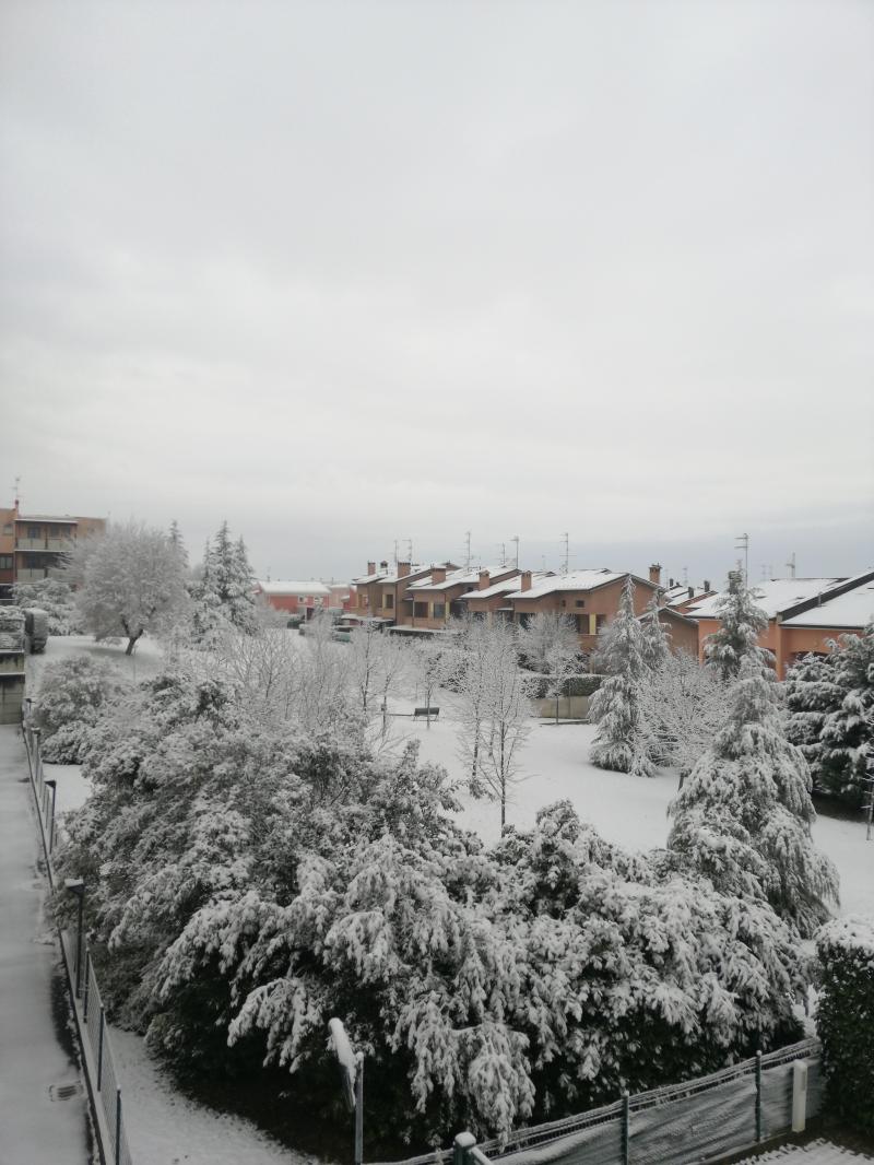Leggera nevicata.