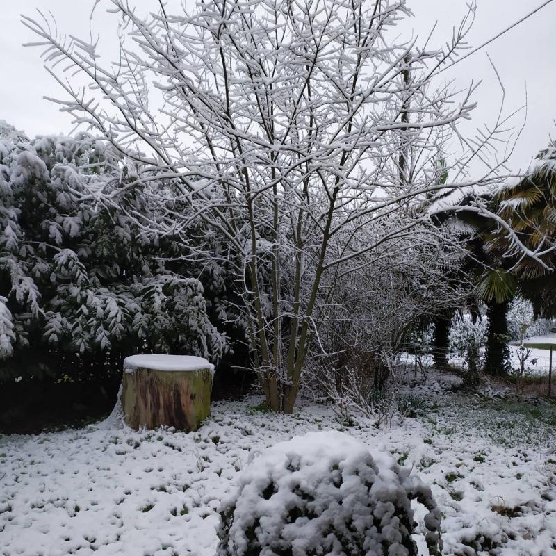 Fotosegnalazione di Forli'
