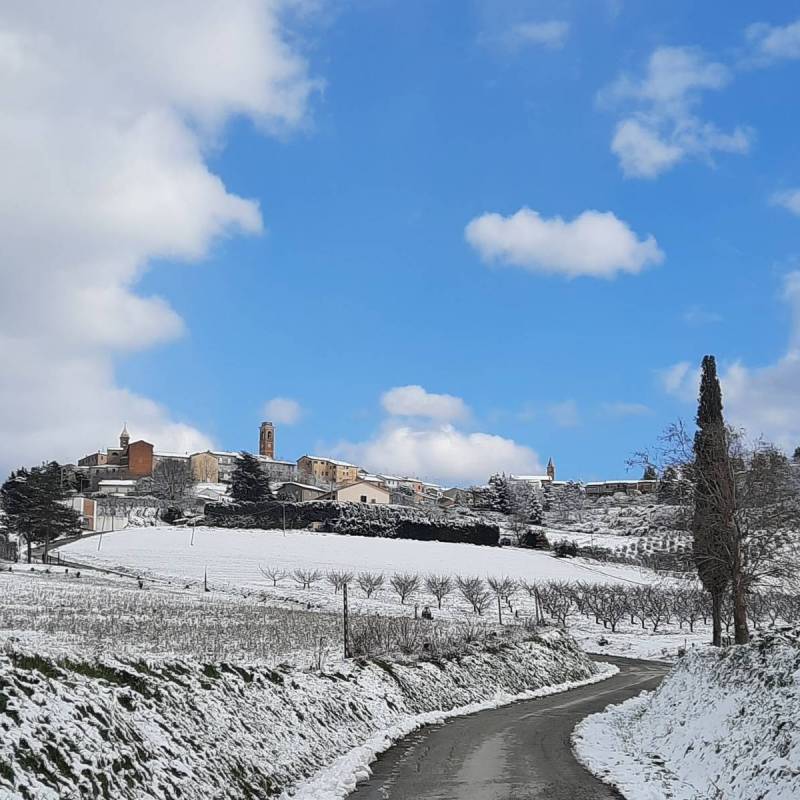 Fotosegnalazione di Montiano