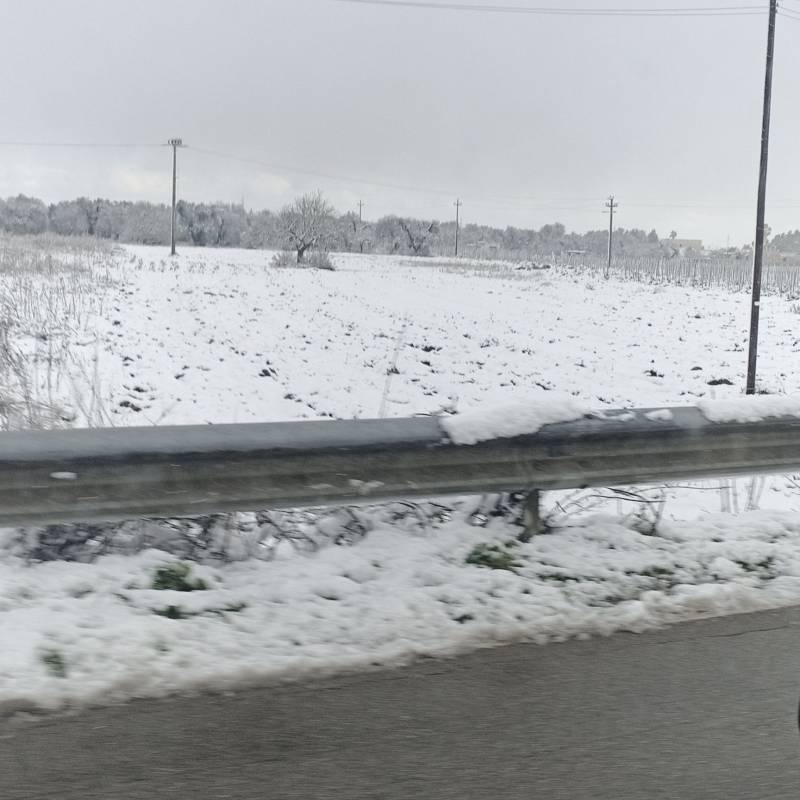 Nevicata di san valentino