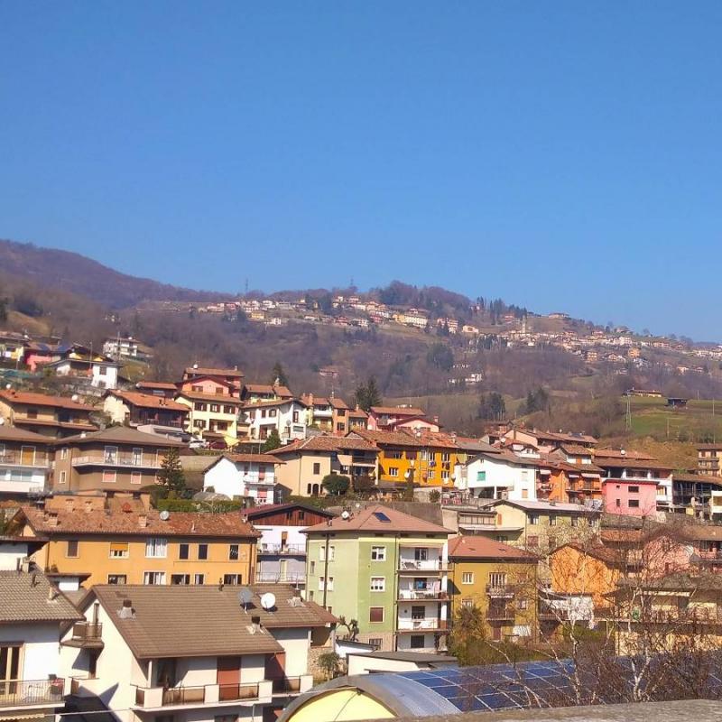 Fotosegnalazione di Gazzaniga