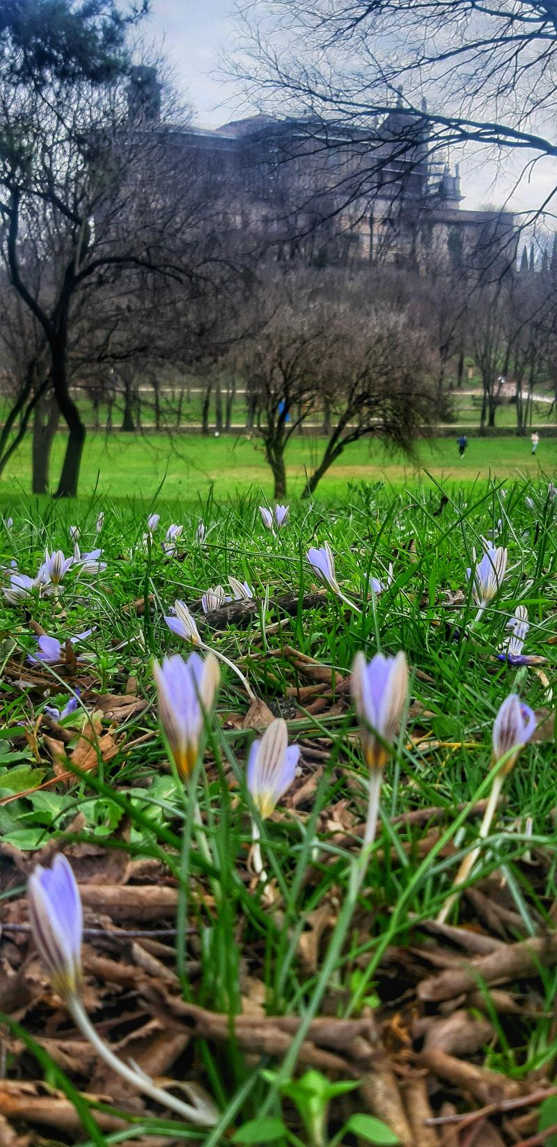 Il risveglio della natura dopo il letargo del inverno