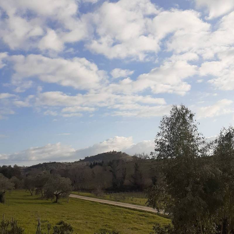 Montiano gr localita' le lupinaie