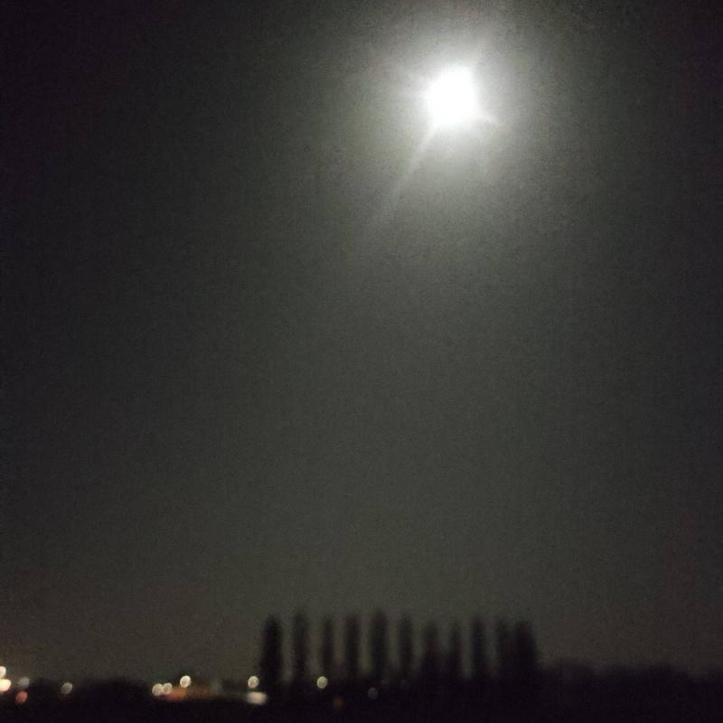 Fotosegnalazione di San paolo