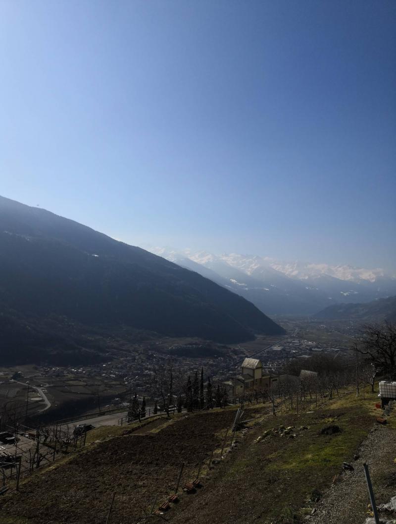 Tirano 2802