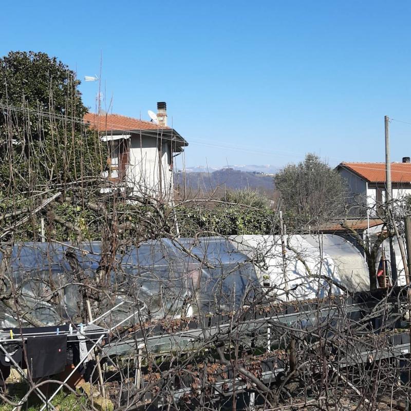 Fotosegnalazione di Casatenovo