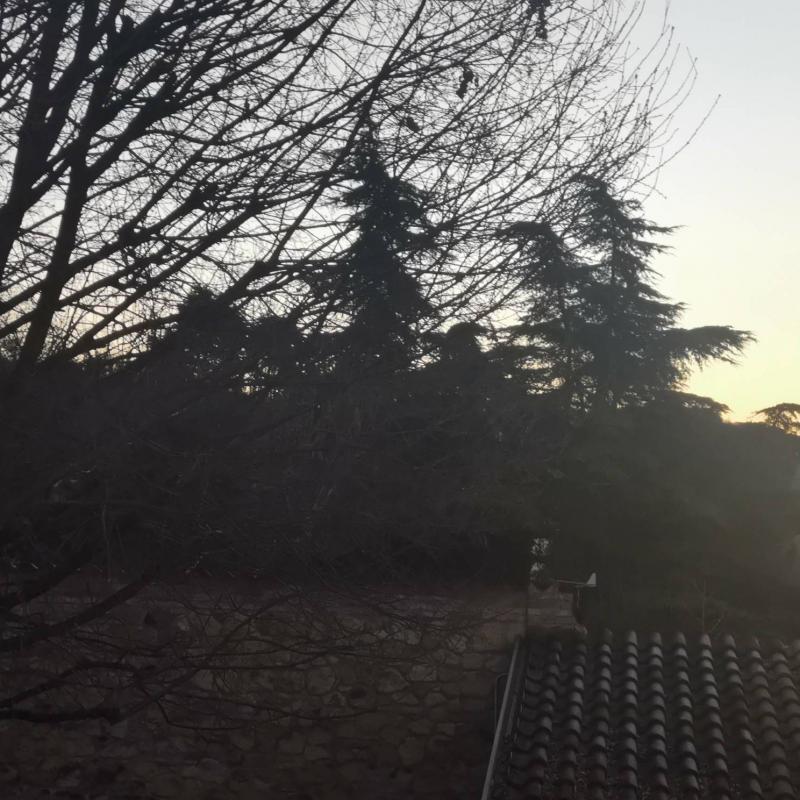 Fotosegnalazione di Lonigo