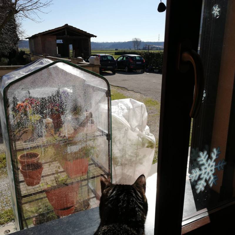 Fotosegnalazione di Bientina