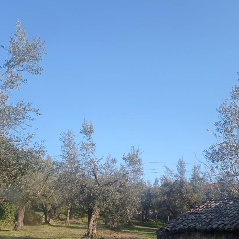 Fotosegnalazione di Fontana liri