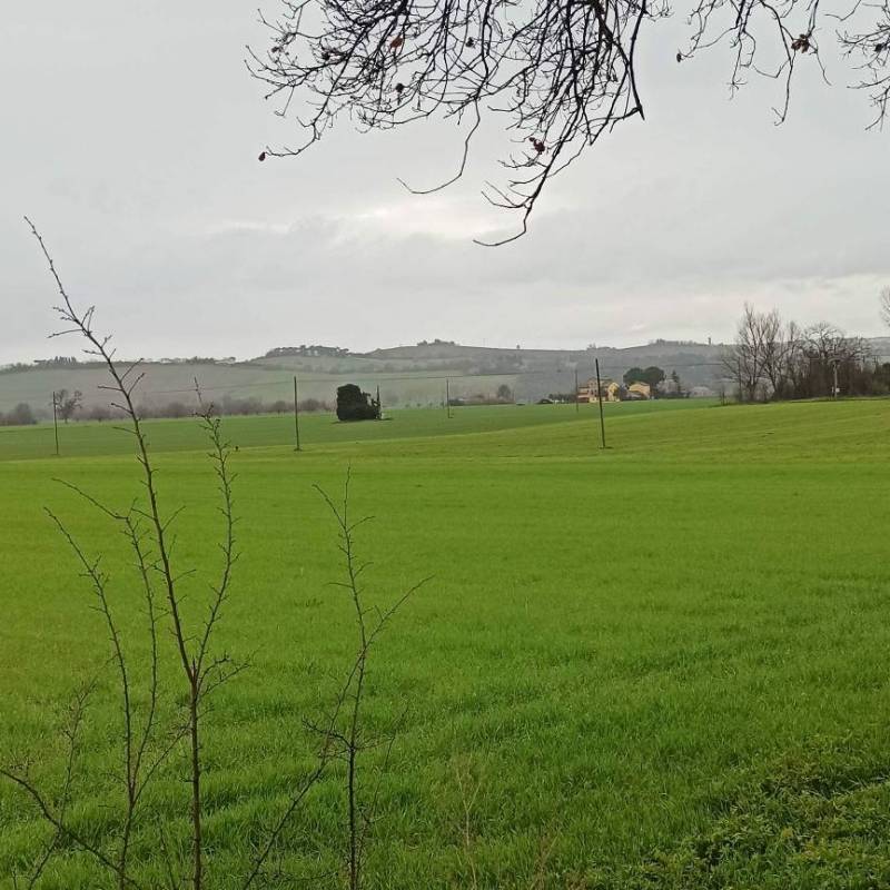 Osimo ore 9 del 6 marzo leggera pioggia