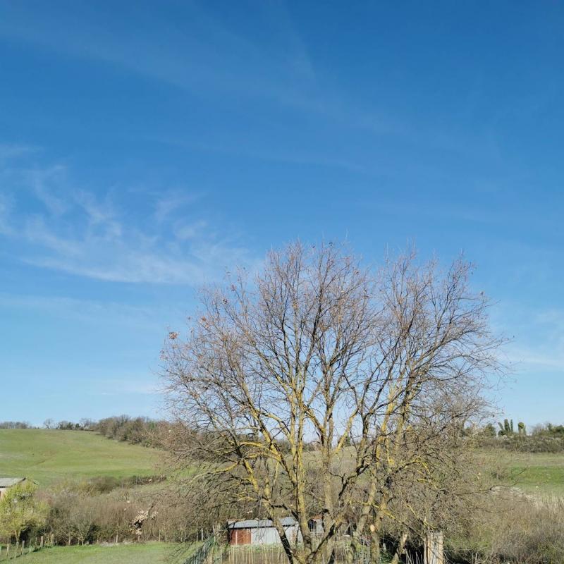 Fotosegnalazione di Monterosi