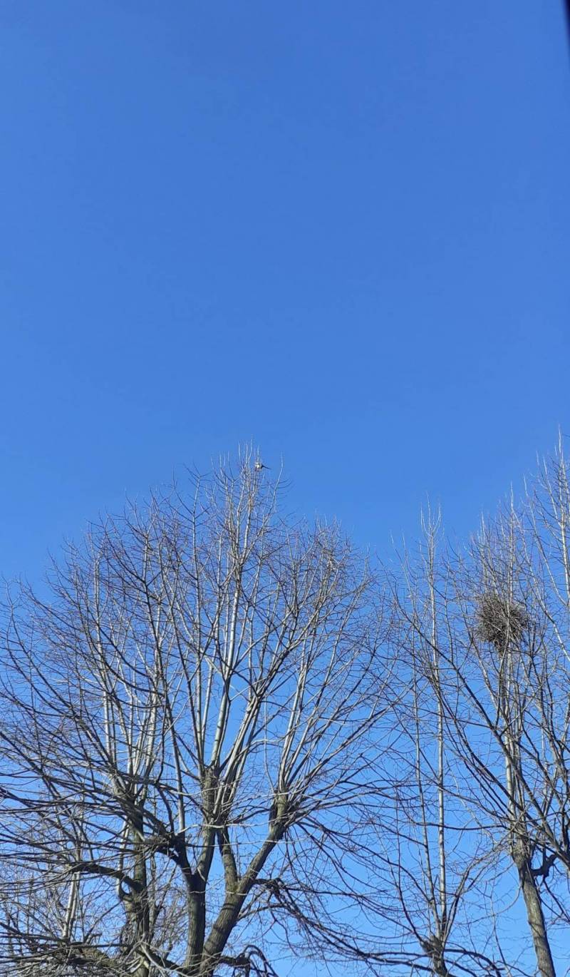 Il cielo della domenica