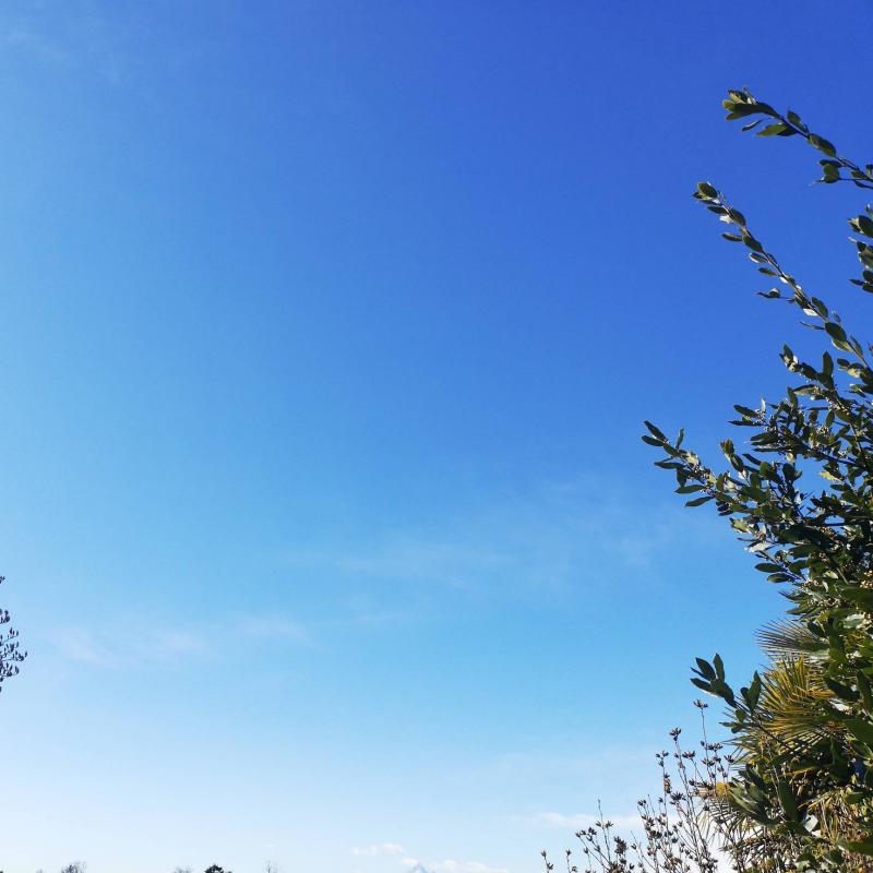 Fotosegnalazione di Pianezza