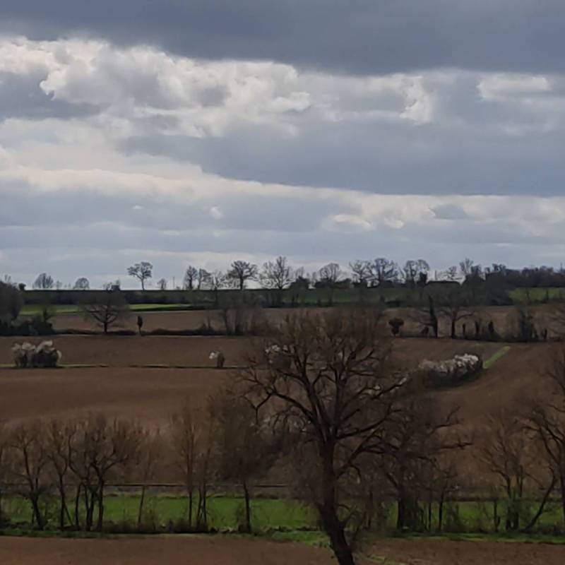 Fotosegnalazione di Monferran-save's