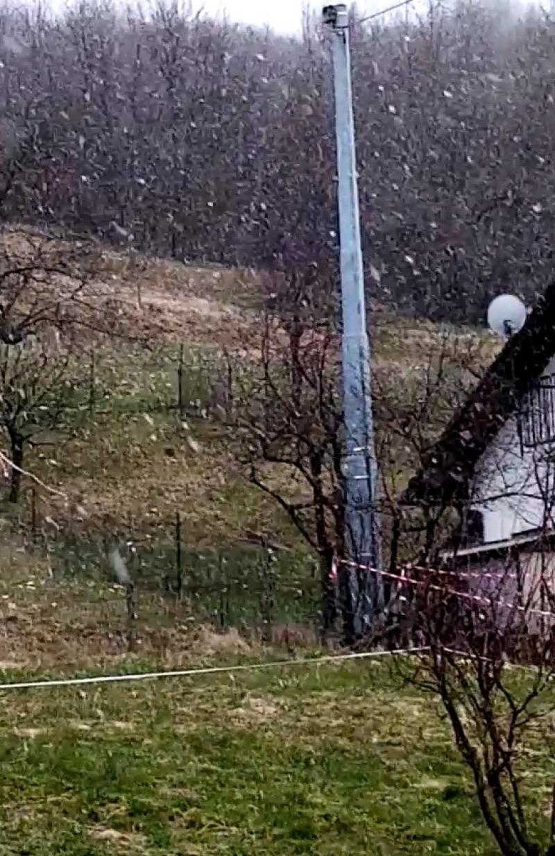 La primavera che avanza e fa cucu' e anche marameo