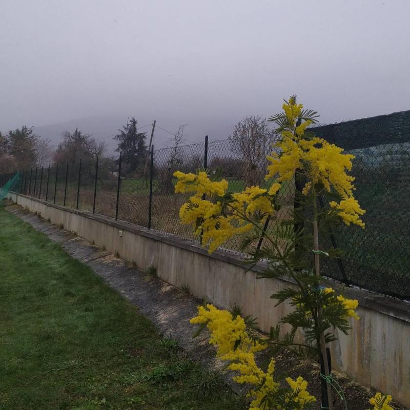 Fotosegnalazione di Introdacqua