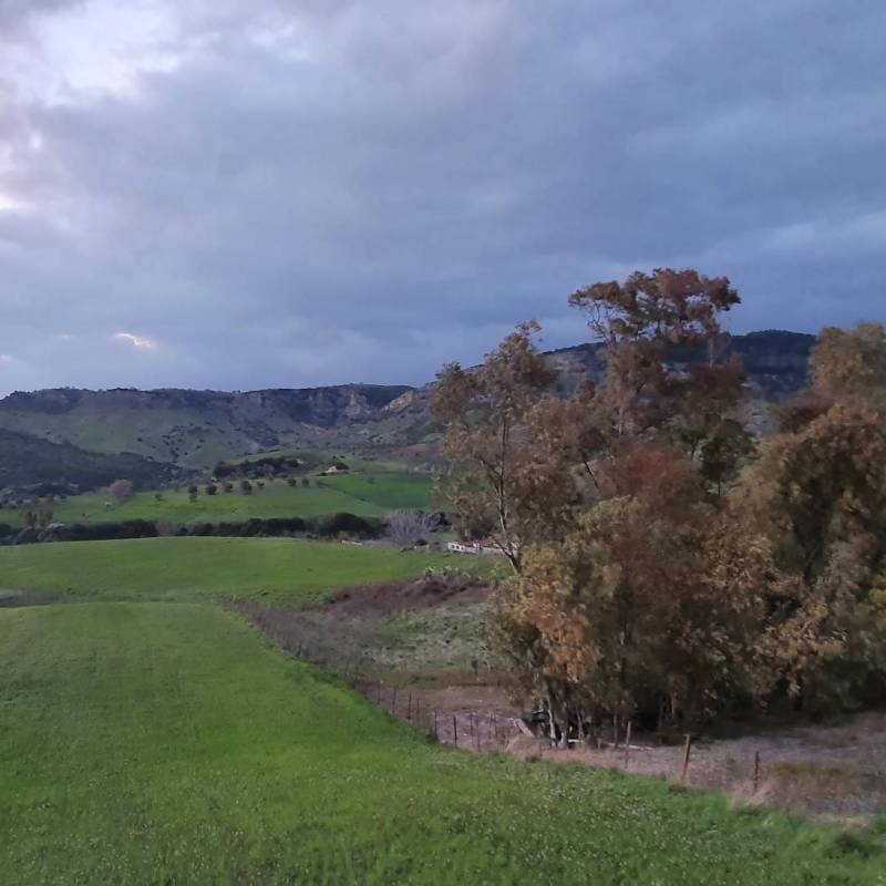 Vento gelido di tramontana