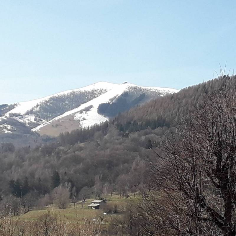 Fotosegnalazione di Pellio intelvi