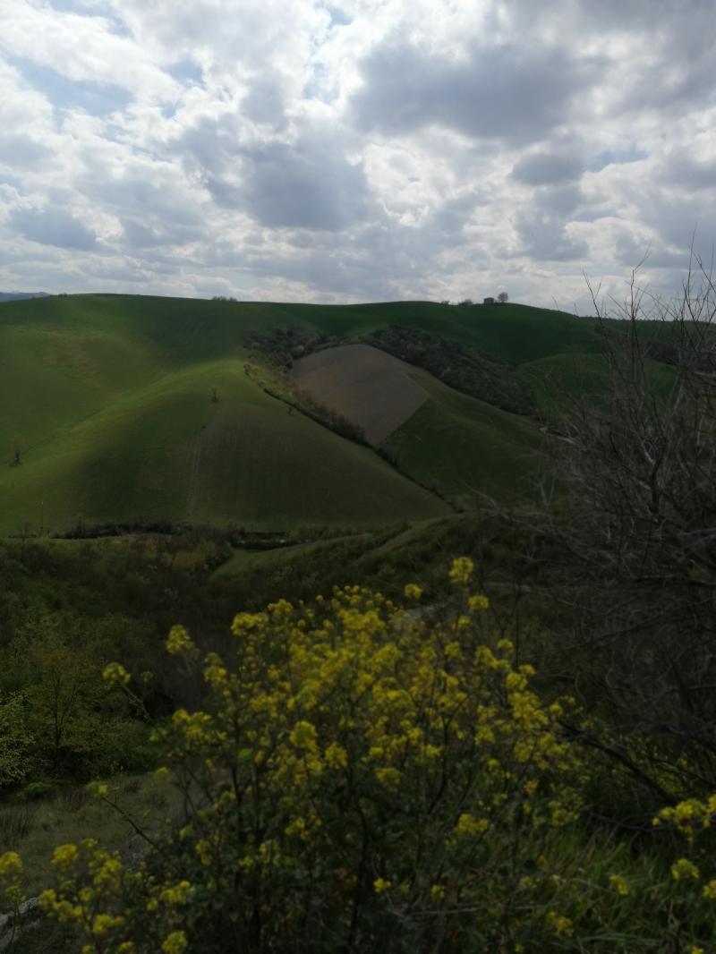 Le verdi colline di castel san pietro terme