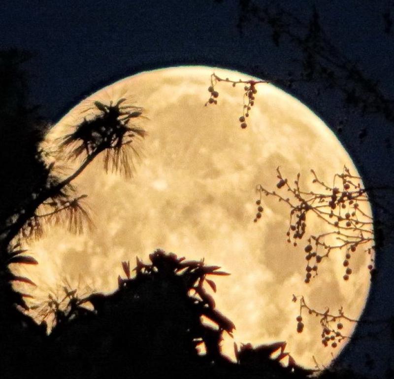 Luna di oggi