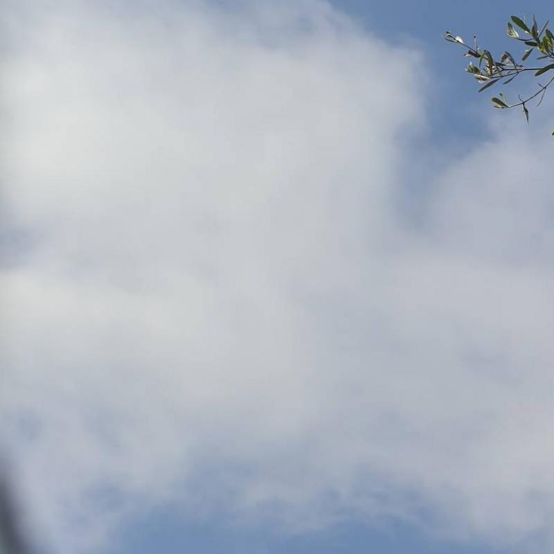Fotosegnalazione di Massa