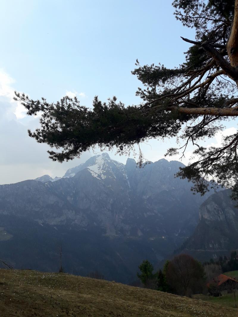 Prave vista presolana
