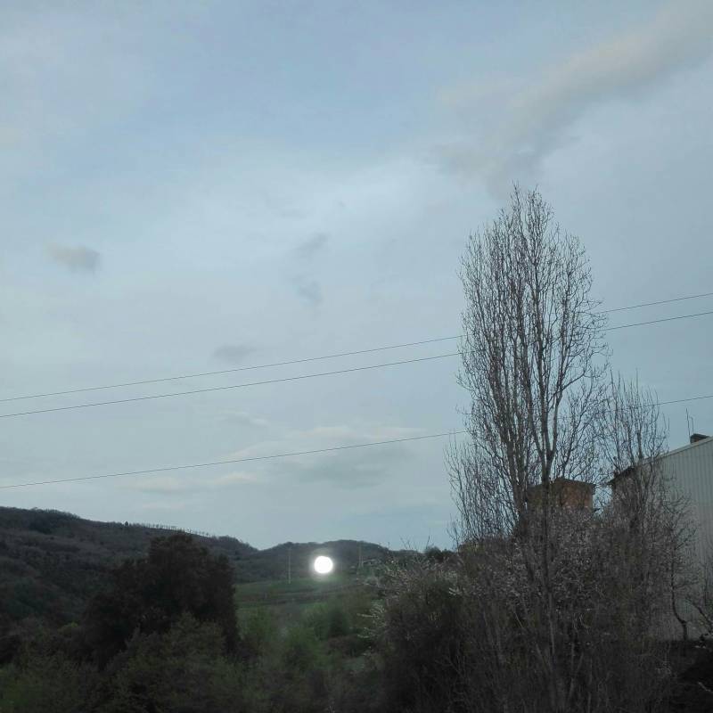 Fotosegnalazione di Campana