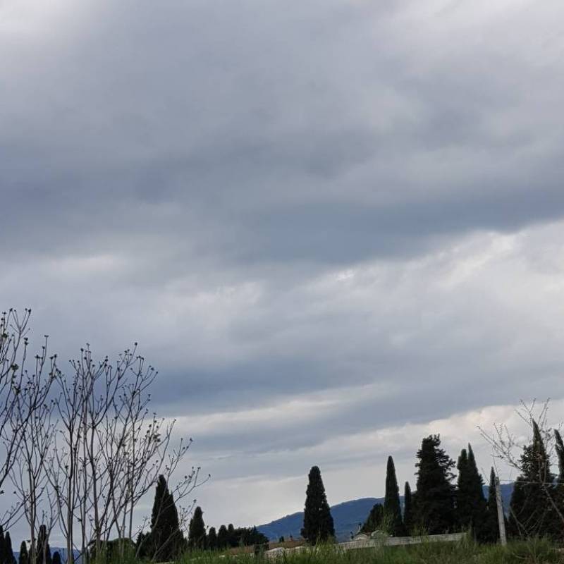 Fotosegnalazione di Monsummano terme