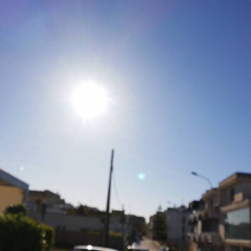 Fotosegnalazione di Aradeo