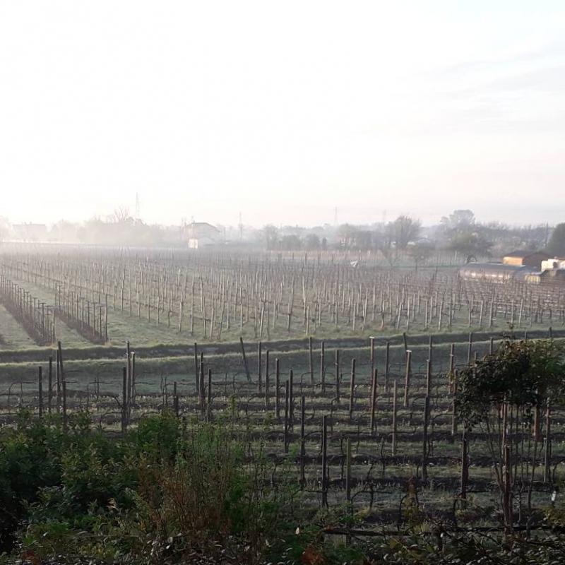 Fotosegnalazione di Colle umberto