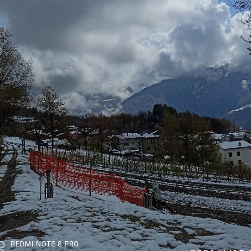 Fotosegnalazione di Teglio