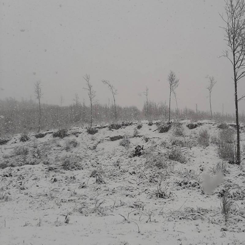 Fotosegnalazione di Aprigliano