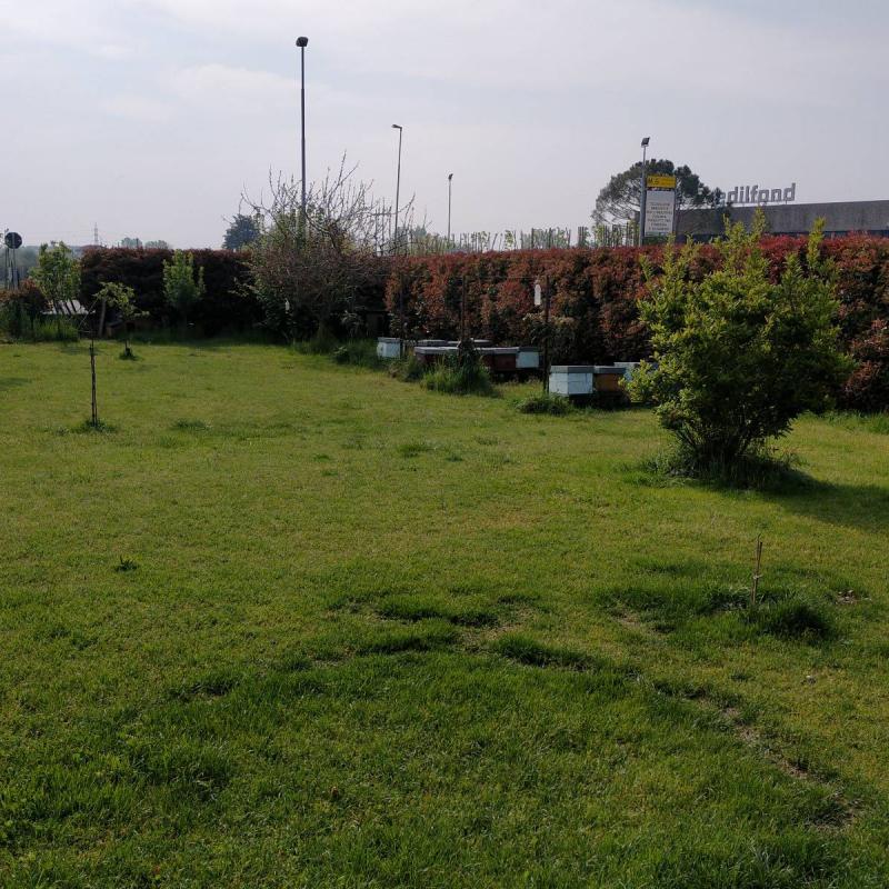 Ilmieleditromello.it
