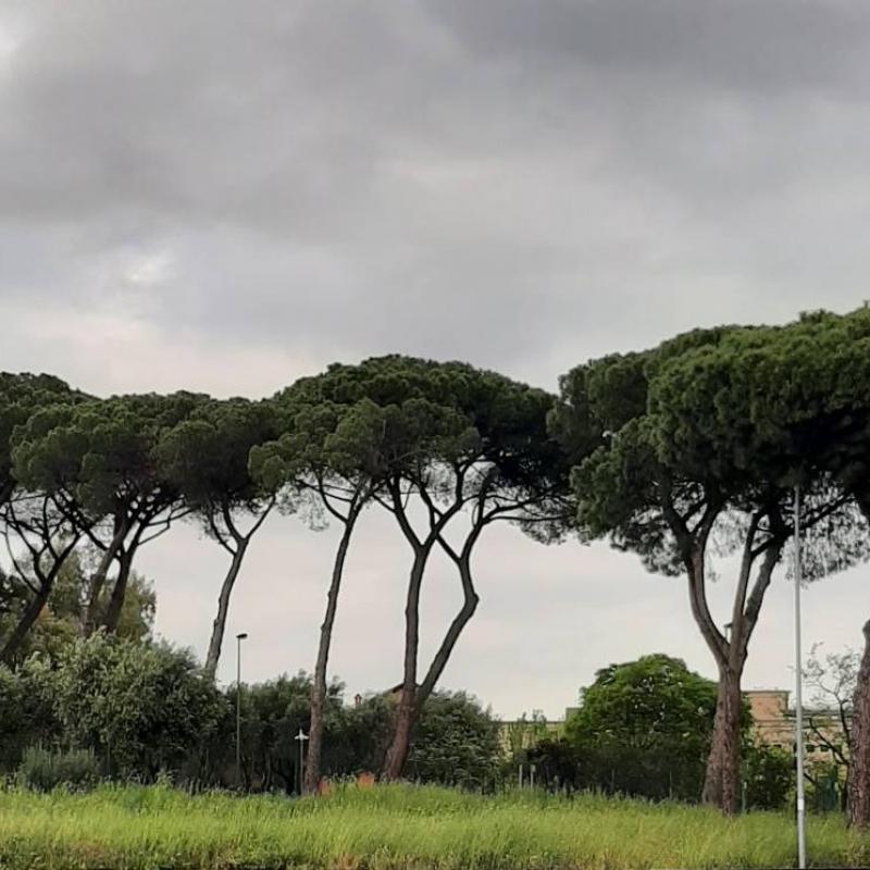 Fotosegnalazione di Roma nordest