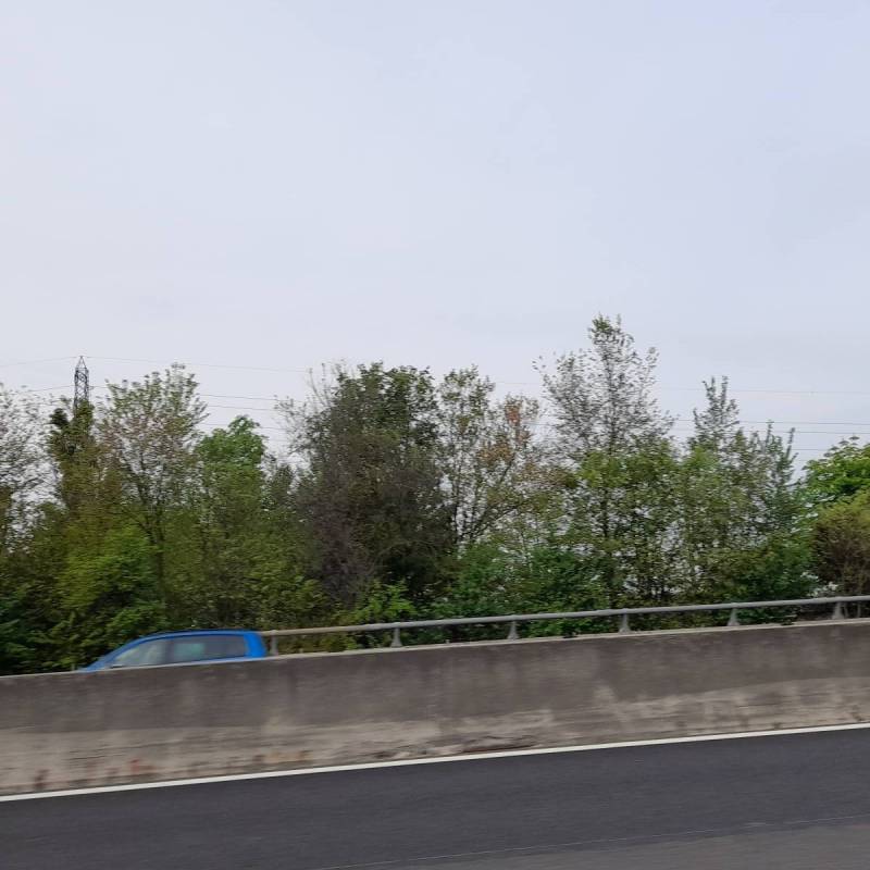 Fotosegnalazione di Gattatico