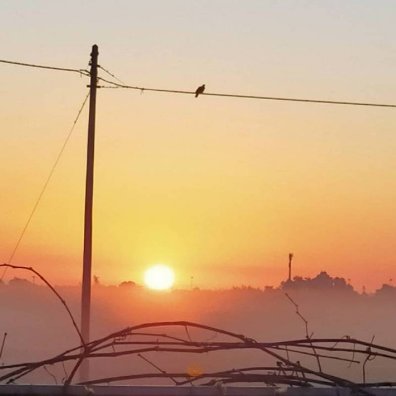 Fotosegnalazione di Bagnolo in piano