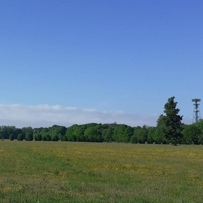 Fotosegnalazione di Parco di monza