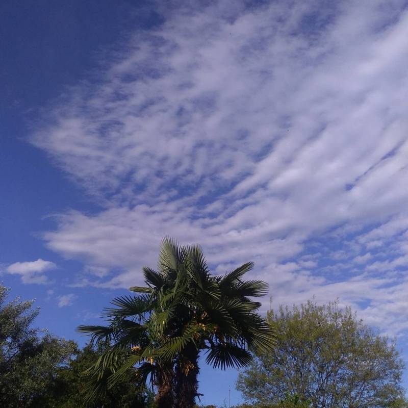 Fotosegnalazione di Sesto calende alta