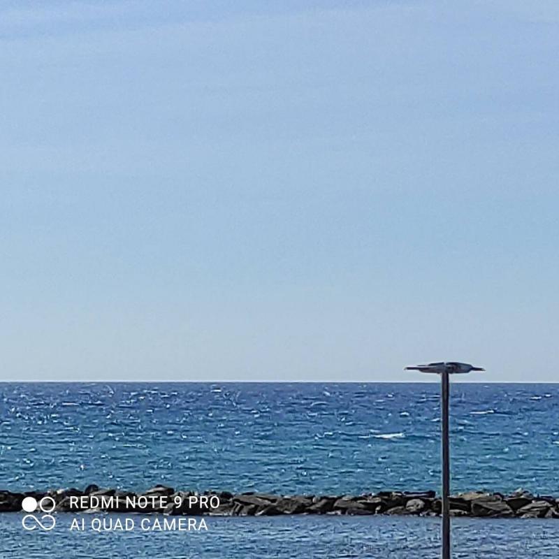 Fotosegnalazione di San bartolomeo al mare