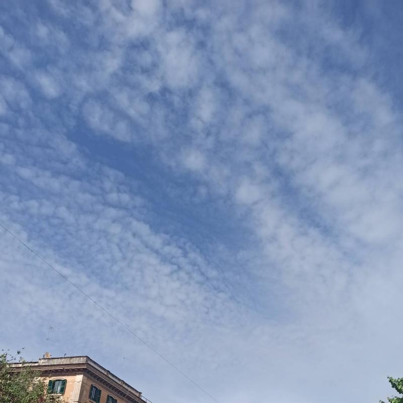 Fotosegnalazione di Roma prati